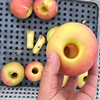 Machine automatique à retirer le cœur et à couper les pommes en acier inoxydable pour la transformation des fruits
