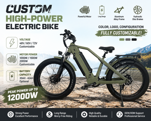 Bicicleta Eléctrica de Doble Motor con Autonomía de 100 km, Velocidad Máxima de 80 km/h, Batería de Litio de 30ah y Cuadro de Aluminio - Product Image 2