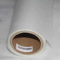 Película PET para Transferencia de Calor DTF, 30cm 60cm, Hojas de Película Imprimible DTF, Rollo de Película de Impresión Mate de una Sola Cara