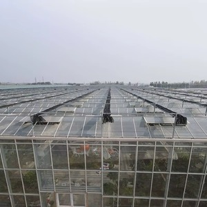 Serre commerciale multi-travées en polycarbonate pour la production <span class=keywords><strong>de</strong></span> fraises, <span class=keywords><strong>de</strong></span> baies et <span class=keywords><strong>de</strong></span> fruits avec kit d'irrigation goutte-à-goutte intelligent - Product Image 5