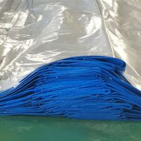 Bâche bleue enduite de PE pour la couverture de camion avec traité UV