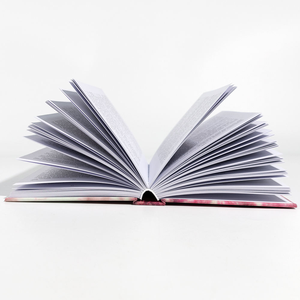 Pabrik pencetakan buku menawarkan ukuran kustom layanan Paperback kualitas tinggi pada bahan karton - Product Image 6