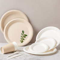 Assiette plate jetable en bagasse de canne à sucre biodégradable de qualité alimentaire, écologique, blanche, 9 pouces, pour restaurant