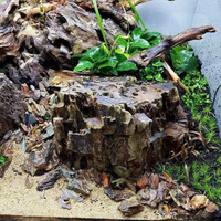 Bois flotté d'aquarium en gros pour aménagement paysager, durable, grand format, bois naturel poli, design moderne, forme irrégulière, emballage en vrac