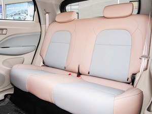 Affordable Leapmotor T03 Electric Vehicle Compact Smart EV for <strong>Car</strong> Sharing <strong>Rental</strong> and Fleet Business with High Performance - Product Image 6