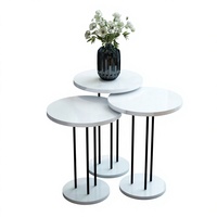 Ensemble de 3 tables basses rondes, table à thé, meubles de salon, table de bureau, table centrale