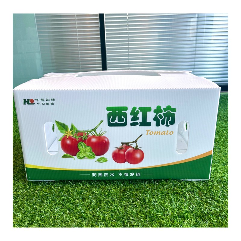 Fresh Vegetables and Fruit Plastic PP