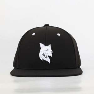 Gorra Snapback de 6 Paneles de Poliéster de Alta Calidad, Impermeable, con Perforaciones Cortadas a Láser, Logotipo Personalizado, Bordado 3D - Product Image 2