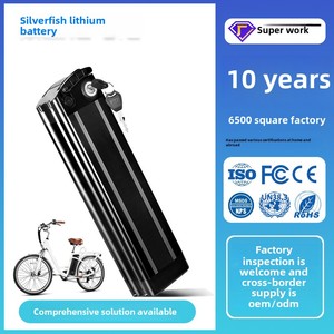 Batterie Booster Silver Fish 36V/48V la plus vendue, pack lithium-ion 20Ah 36V, anode LFP - Product Image 3