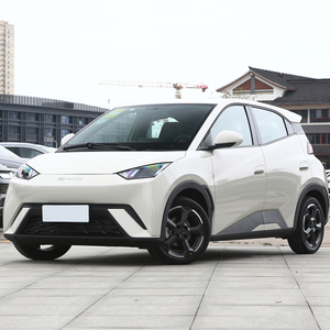 Tout nouveau byd seagull nouvelle énergie véhicules gamme de couleur verte 305km voiture électrique à bas <span class=keywords><strong>prix</strong></span> pour adulte - Product Image 5