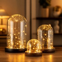 Cloche en verre transparente éclairée avec base LED et couvercle anti-poussière pour figurine d'action anime, vitrine de chambre artisanale