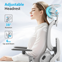 Chaise de bureau ergonomique réglable 150 kg en maille grise avec soutien lombaire dynamique, massage par vibration et accoudoirs 6D pour bureau à domicile