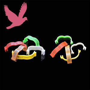 Anillos Ajustables para Patas de Pollo, Anillos de Plástico con Hebilla para Patas de Aves, Anillos Digitales para Patas de Pato y Ganso - Product Image 5