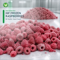 XMSD Beste Delish IQF Diepvries Frambozen Verse Zwarte Rode Pitloze Gezoete Fruit Groothandelsprijzen