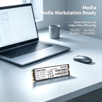 SSD M.2 NGFF Kecepatan Tinggi 128GB 256GB 512GB 1TB 2TB Kompatibel dengan Laptop dan Desktop, Transfer Kecepatan Tinggi