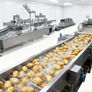 Linea di Produzione Industriale per la Lavorazione Profonda delle Patate Longkun Machinery - Alta Capacità Produttiva - Product Image 1