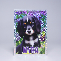 Cartes de jeu personnalisées imprimées par le fabricant : Jeu de société classique de cartes à collectionner avec graphiques de couple, de waifu sexy et de enfants, pour solitaire.