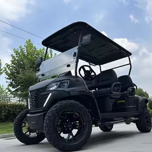 4 + 2 phong cách mới điện Golf Buggy 48V màu sắc có thể được tùy chỉnh - Product Image 5
