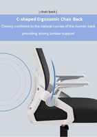 Fauteuil releveur ergonomique à dossier haut, hauteur réglable, siège en maille profilé, accoudoirs rabattables, appui-tête en mousse durable, style contemporain