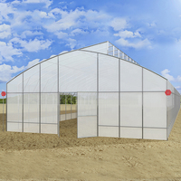 Serre agricole à simple travée avec couverture en film PE, système de ventilation naturelle, petite taille, une seule serre agricole