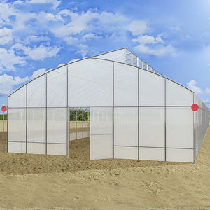 Invernadero Agrícola de un Solo Tramo con Cubierta de Película de PE, Sistema de Ventilación Natural, Tamaño Pequeño - Product Image 5