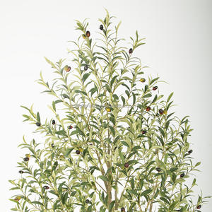 Albero di <span class=keywords><strong>Ulivo</strong></span> Artificiale in Plastica da 2,1 m con Frutti Realistici, Tronco Naturale, Vaso <span class=keywords><strong>Bianco</strong></span> Resistente per Decorazione Interna Casa/Ufficio - Product Image 3