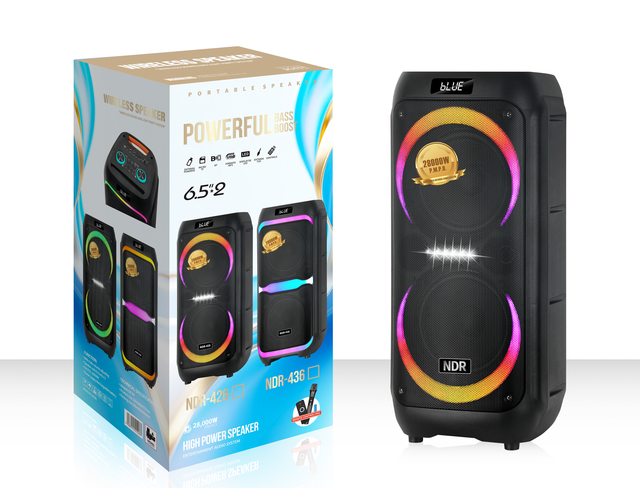 NDR-426 Dual 6.5 Inch 40 Watts Karaoke Speaker USB TWS FM Rechargeable Battery for Outdoor Activity Factory Direct Sales