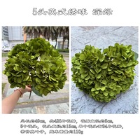 RK272 Zijden Hortensia 5-koppige Kunstbloem Groene Hortensia Bouquet voor Bruiloft Tafeldecoratie Arrangement Decoratie