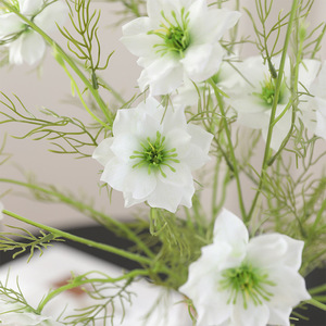 Fleurs artificielles de cumin noir Mengqi, 5 têtes, en soie plastique, haute simulation, style pastoral, décoration intérieure - Product Image 4