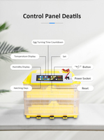 Incubateur d'Œufs 12V CA/CC Solaire 96 Œufs, Couveuse à Éclosion pour Alimentation par Batterie