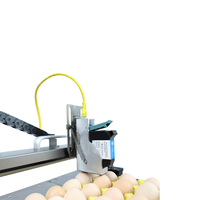 Nouveau lot bon marché Tij oeuf Date de péremption et numéro de lot Machine de codage Imprimante à plat pour l'impression de la date de péremption des aliments et des boissons