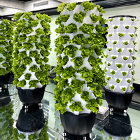 Système hydroponique vertical de jardin en tour pour serre