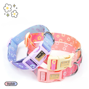 Colliers pour animaux <span class=keywords><strong>de</strong></span> compagnie aux couleurs personnalisées, colliers pour chiens à dégradé <span class=keywords><strong>de</strong></span> couleurs, colliers à la mode réglables, produits <span class=keywords><strong>de</strong></span> sécurité anti-perte gravés pour animaux <span class=keywords><strong>de</strong></span> compagnie - Product Image 2