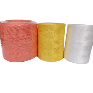 Nhà máy cung cấp trực tiếp PP xé kháng Twist dây thừng Rau treo nhà kính bao bì khác nhau Thông số kỹ thuật màu sắc - Product Image 1