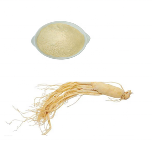 Extrato Natural Puro de <span class=keywords><strong>Ginseng</strong></span> <span class=keywords><strong>Panax</strong></span> em Pó com 1%-80% de Ginsenosídeos - Product Image 3