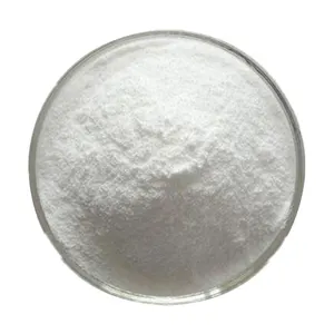 Wholesale healthy food grade high-purity DHA algae oil extract powder Omega 3 DHA EPA Powder