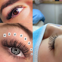 SP EYELASH C D M L Curl Cils Naturels Individuels Coréen PBT 25mm Doux Mat Soie Volume Extensions de Cils Cils Classiques