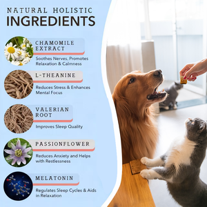 Suplemento para Perros de Marca Propia, Masticables Calmantes para el Alivio de la Ansiedad, Masticables Blandos para el Cuidado de la Salud de las Mascotas, Suplemento Natural para Perros - Product Image 6