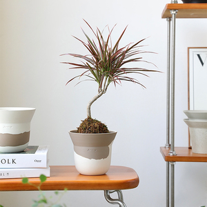 Nuovo design opaco soggiorno decorazione casa piante <span class=keywords><strong>da</strong></span> esterno <span class=keywords><strong>da</strong></span> giardino <span class=keywords><strong>vasi</strong></span> di <span class=keywords><strong>fiori</strong></span> in ceramica fioriere - Product Image 3