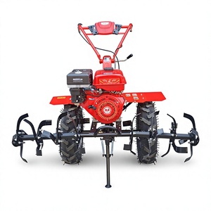Motoculteur compact à essence à vendre – Facile à utiliser pour les terres arides et les potagers - Product Image 1