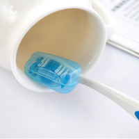Étui de Protection Portable Transparent pour Brosse à Dents, Anti-Poussière en Bambou, Idéal pour le Voyage