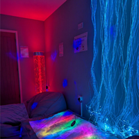 Rideau en fibre optique sensoriel à changement de couleur, lumière apaisante, jouets pour l'autisme, rideaux LED, kit de fibre optique