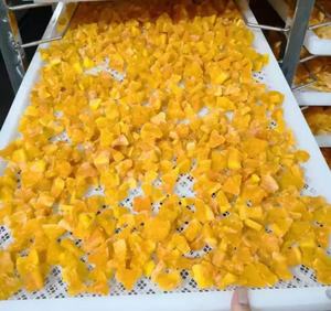 Bandejas de Plástico Perforadas para Secado al Aire Libre - Product Image 5