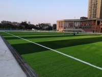 Gazon artificiel de marque Setdream, respectueux de l'environnement, doux, pour terrain de football extérieur, cour arrière