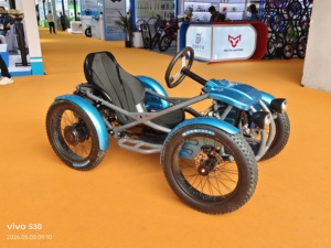 Quadricycle électrique tout-terrain à pneus larges avec moteur double 2000W et batterie lithium 30Ah - Product Image 2