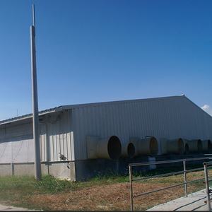 แบบโรงเรือนสัตว์ปีกราคาประหยัดสำหรับไก่ไข่ พร้อมใช้งานสำหรับฟาร์มมืออาชีพเลี้ยงสุกร - Product Image 6