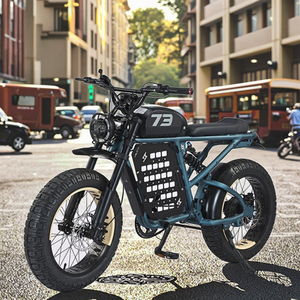 Bicicleta Eléctrica Urbana de Alto Rendimiento, Motor Trasero de 1000W, Batería de Litio de 48V 25Ah, 7 Velocidades, Alta Velocidad, JYOP-RX - Product Image 5