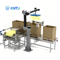 Robot de Empaquetado Colaborativo de Alta Eficiencia, Máquina Inteligente de Empaquetado de Cartones para Bolsas, Botellas y Cajas