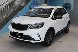 Livan <span class=keywords><strong>Auto</strong></span> X3PRO SUV électrique d'occasion pour l'exportation Voiture compacte d'occasion <span class=keywords><strong>de</strong></span> haute qualité pour le marché <span class=keywords><strong>de</strong></span> l'Afrique et <span class=keywords><strong>de</strong></span> l'Amérique du Sud - Product Image 5
