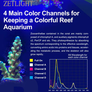 ไฟ ZETLIGHT X9 66W/96W AC 100-240V สำหรับตู้ปลาทะเล ไฟ LED RGB สำหรับตู้ปลาทะเลน้ำเค็ม รองรับบลูทูธและ WIFI - Product Image 5